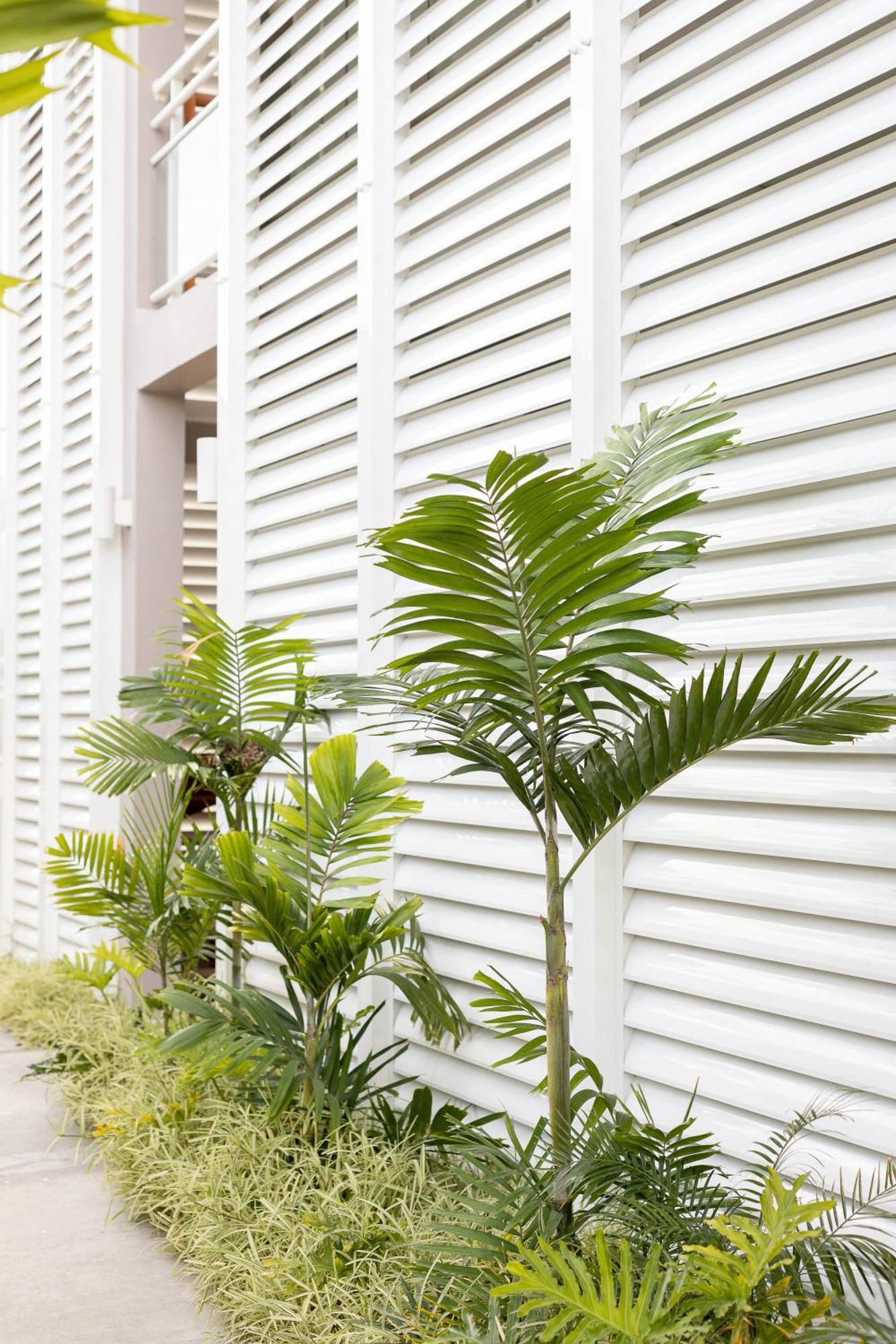 Eden Roc Appartements เลอ ดีอามงต์ ภายนอก รูปภาพ